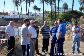 Muestra de ganado de las fiestas del patrono de Telde (Foto  Francisco Javier Santana)